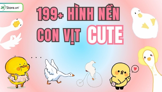 Avatar Vịt Cute Tổng hợp hình ảnh đáng yêu và độc đáo