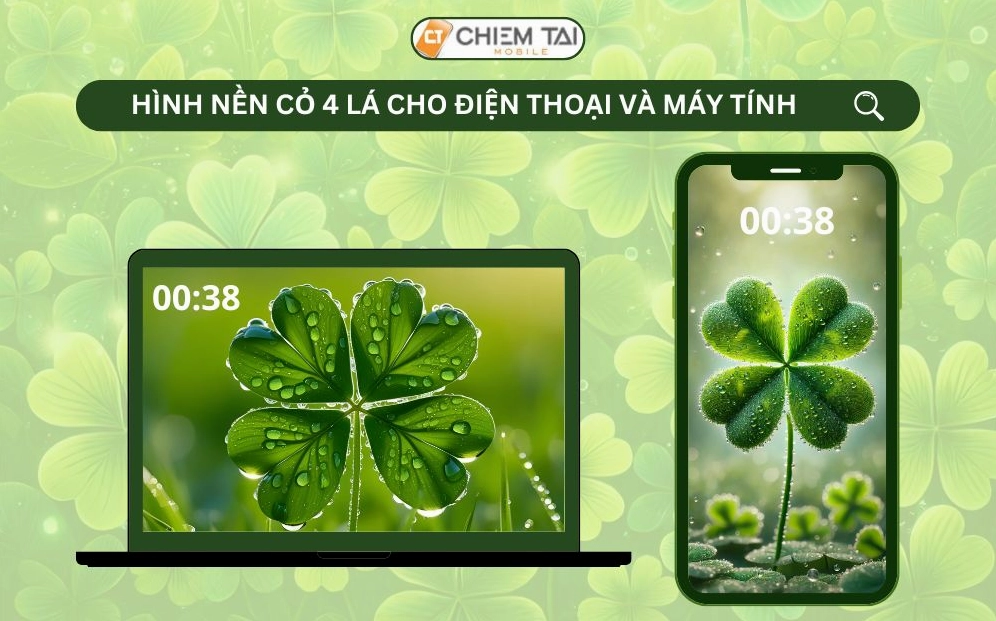 Bộ sưu tập hình nền cỏ 4 lá may mắn avatar đẹp cho năm 2026