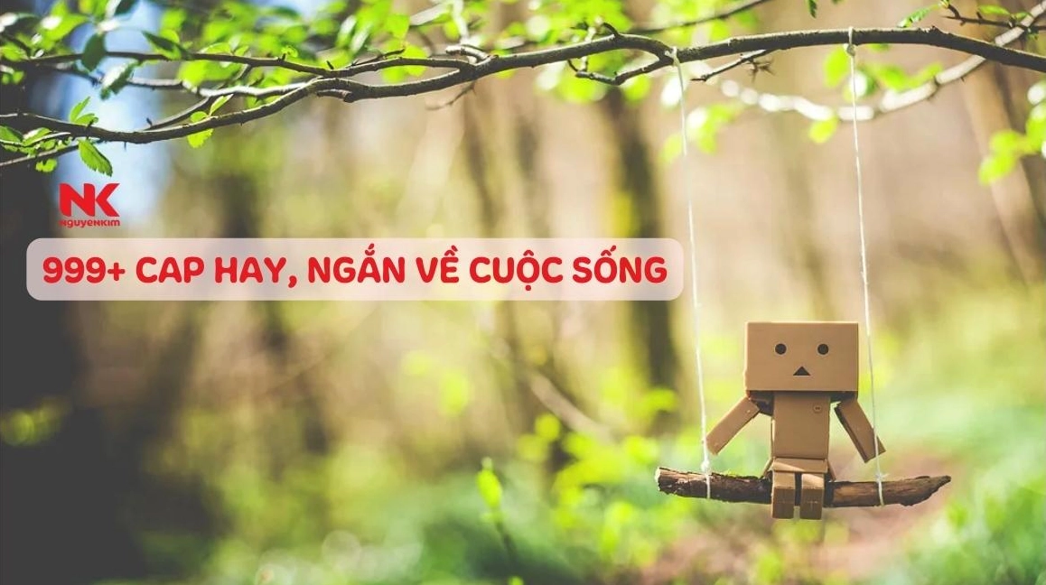 BST Câu Status Hay Nhất Về Tình Yêu, Cuộc Sống Và Công Việc Năm 2026