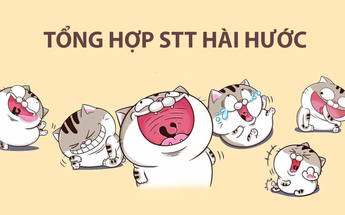 BST stt hay hài hước 2026: Câu like, thả thính, chất như nước cất