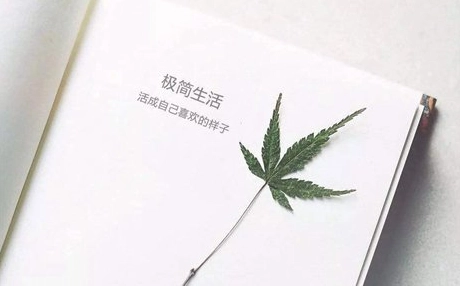 Caption tiếng Trung hay và ý nghĩa cho mọi tình huống