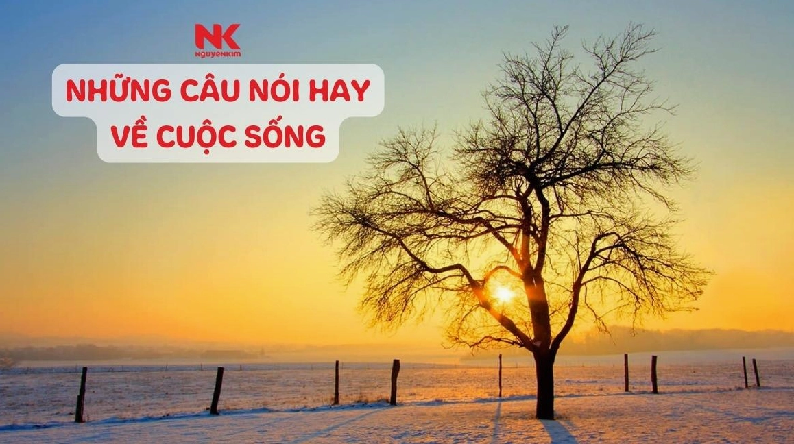 Châm ngôn cuộc sống tích cực truyền cảm hứng và bài học ý nghĩa