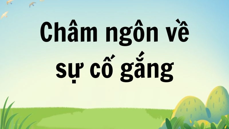 Châm ngôn về sự cố gắng cho hành trình thành công
