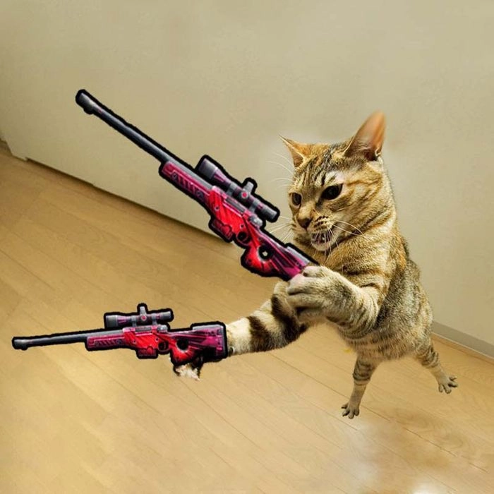 Con mèo cầm súng Free Fire dành cho game thủ FF chính hiệu