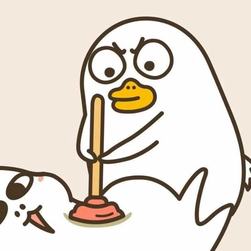Con vịt vô tri cute nhìn là muốn cưng ngay