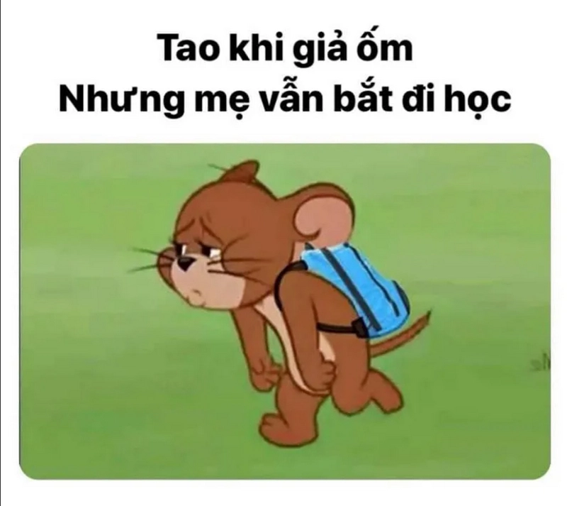Hình ảnh mèo Tom đầy biểu cảm trong từng khung hình