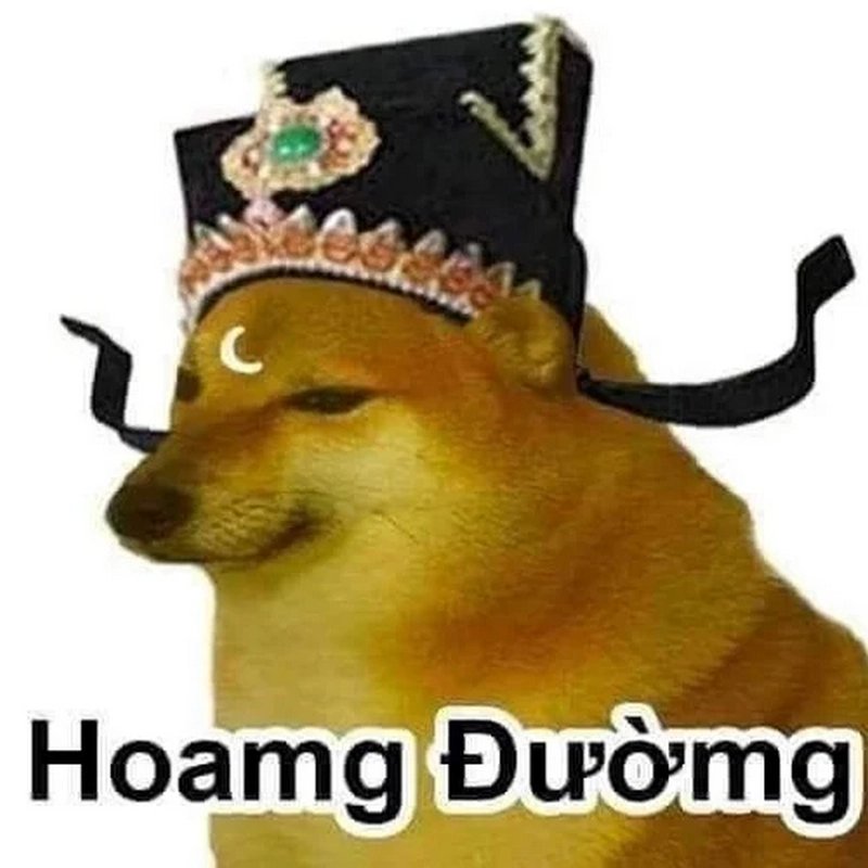 Hình con chó meme đáng yêu nhưng không kém phần troll