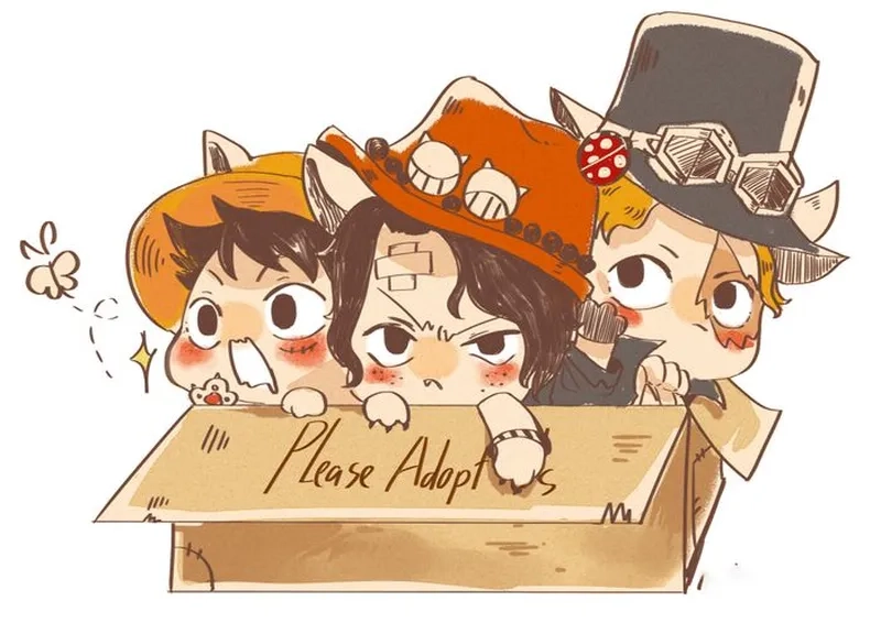 Hình nền máy tính anime Luffy, mang khí thế của Vua Hải Tặc