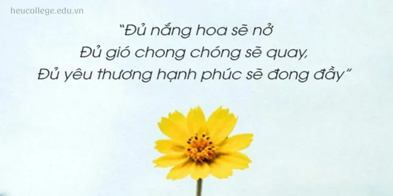 Khám phá 200 câu châm ngôn về hoa mang ý nghĩa sâu sắc nhất 2