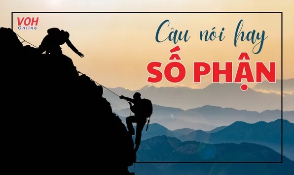 Khám phá những câu nói hay về căn số và ý nghĩa cuộc đời