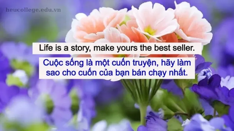 Những câu châm ngôn bằng tiếng Anh về tình yêu và cuộc sống hay nhất 5