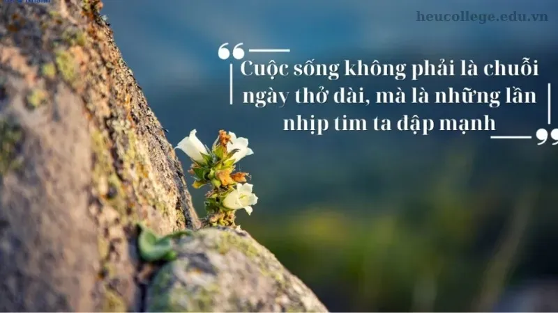 Những câu châm ngôn về sức khỏe giúp bạn có thêm động lực sống 1