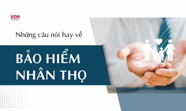 Những câu nói hay về bảo hiểm nhân thọ truyền cảm hứng và kiến thức