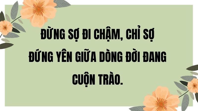 Những câu nói hay về cuộc sống khiến bạn thay đổi tư duy