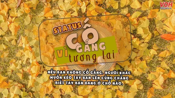 Những câu nói hay về làm việc hết mình và nỗ lực vươn lên