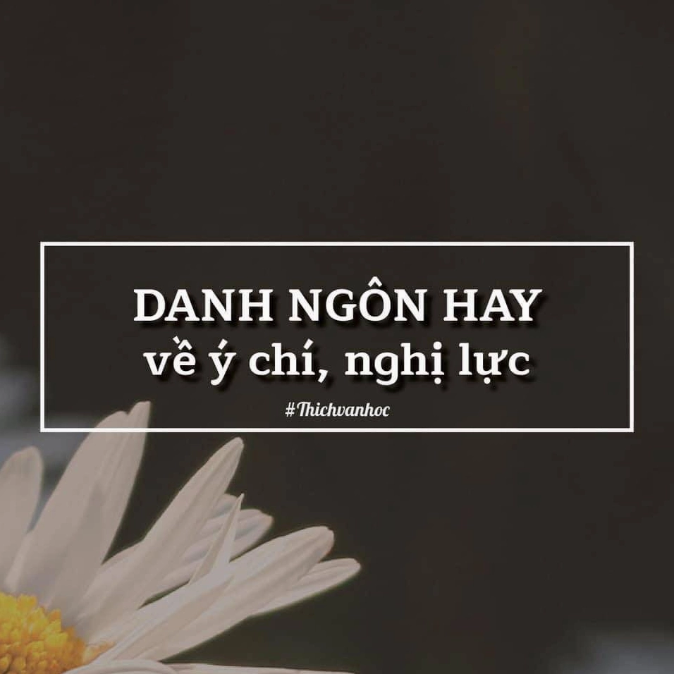 Những câu nói hay về ý chí nghị lực tạo động lực vượt qua thử thách