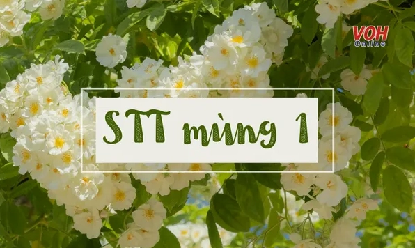 Những Status Mùng 1 Đầu Tháng Hài Hước Nhất Năm 2026
