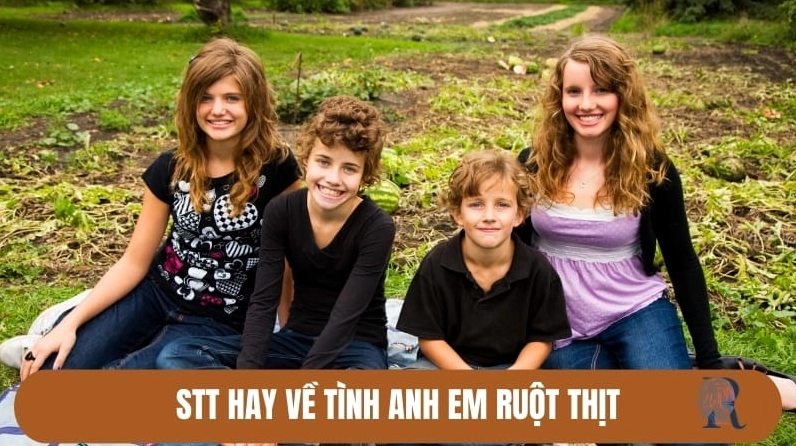 Những stt hay về anh em ruột hài hước và tình cảm gắn bó