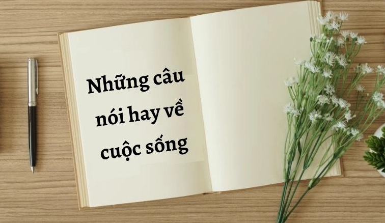 Stt hay về cuộc đời: Góc nhìn đa chiều cho năm 2026