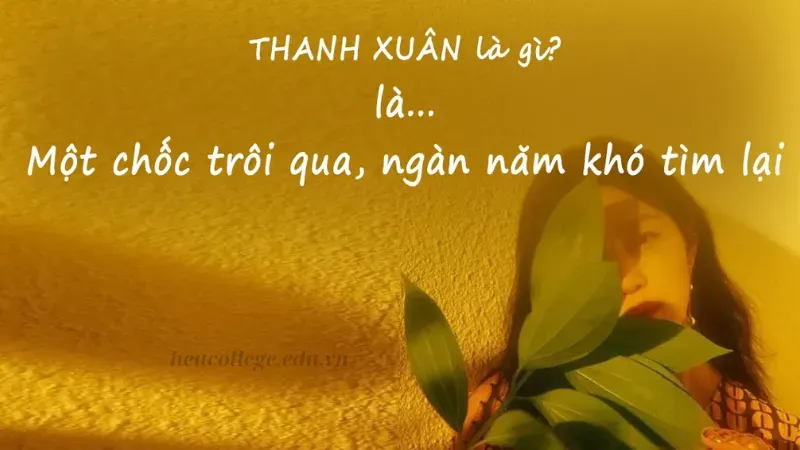 STT thanh xuân đầy cảm xúc để bạn khắc ghi kỷ niệm