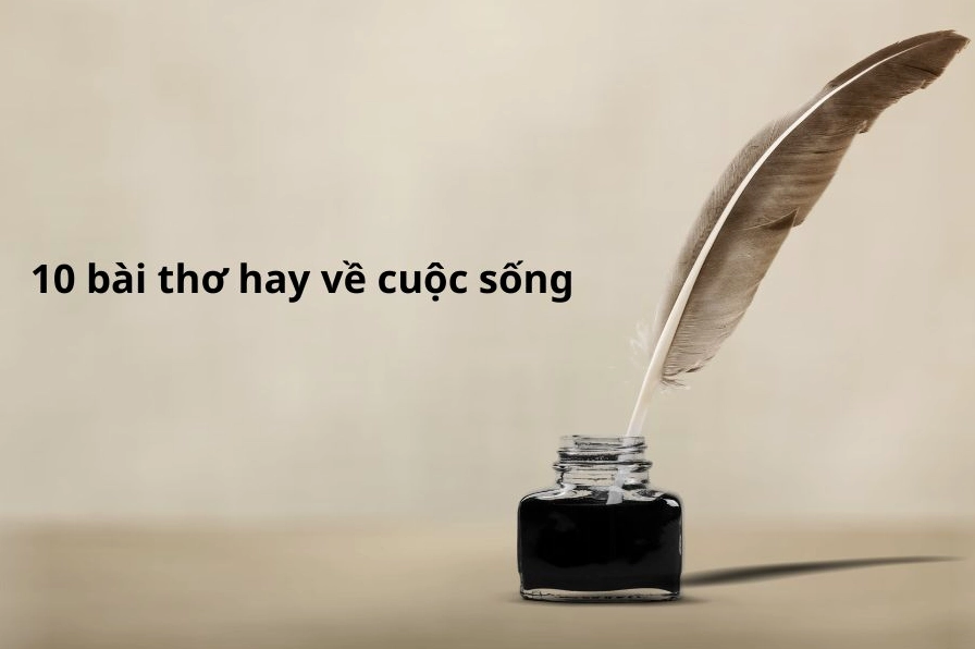 Thơ hay về triết lý cuộc sống: Ngẫm về lẽ đời