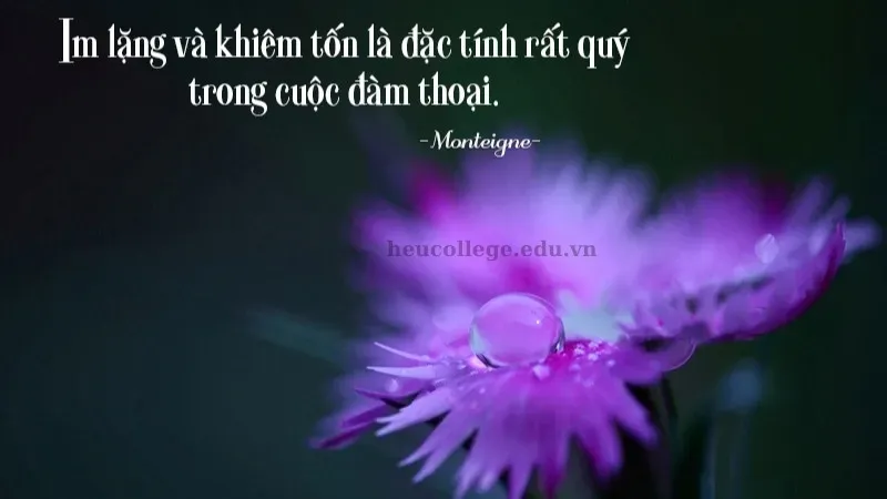 Tổng hợp những câu châm ngôn sống hay và ý nghĩa nhất 2