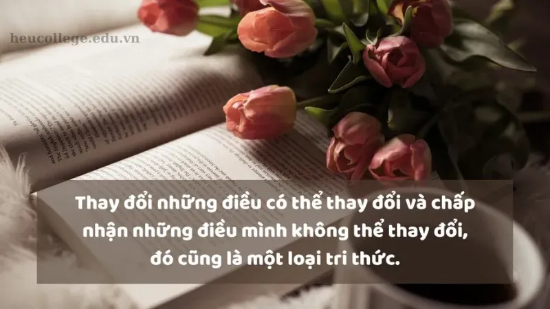 Tổng hợp những câu châm ngôn sống hay và ý nghĩa nhất 4