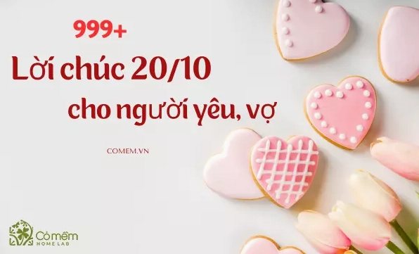 Tổng hợp stt chúc 20/10 ý nghĩa tôn vinh phái đẹp năm 2026