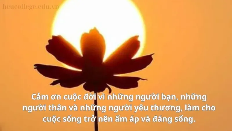 Top 10+ STT biết ơn cuộc sống ý nghĩa nhất để chia sẻ