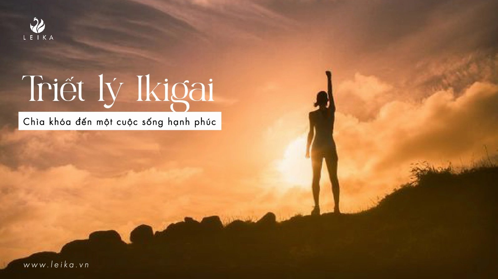 Triết lý Ikigai: Tìm thấy ý nghĩa cuộc sống và niềm vui mỗi ngày