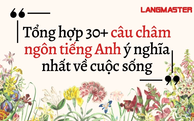 Tuyển Tập Câu Châm Ngôn Tiếng Anh Hay Nhất Truyền Cảm Hứng Cuộc Sống